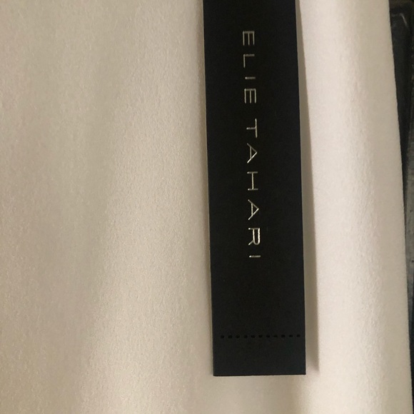 Elle Tahari Creoe Fully Lined Dress Pant New with Tag - Picture 2 of 3